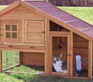 Pet kennels in Beds, Aviaries and other garden pets